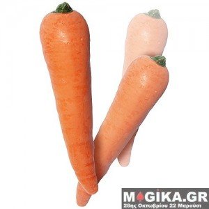 Multiplying Carrots - Latex