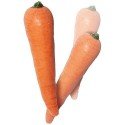 Multiplying Carrots - Latex - 2 pc set