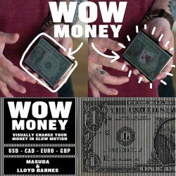 WOW Money by Masuda & Lloyd Barnes - Euro